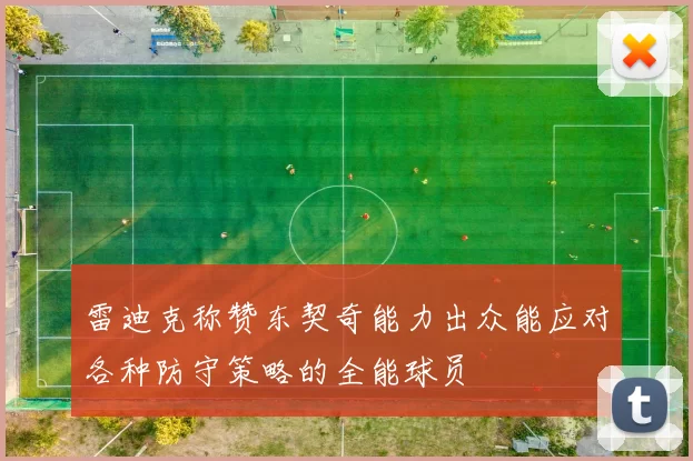 雷迪克称赞东契奇能力出众能应对各种防守策略的全能球员