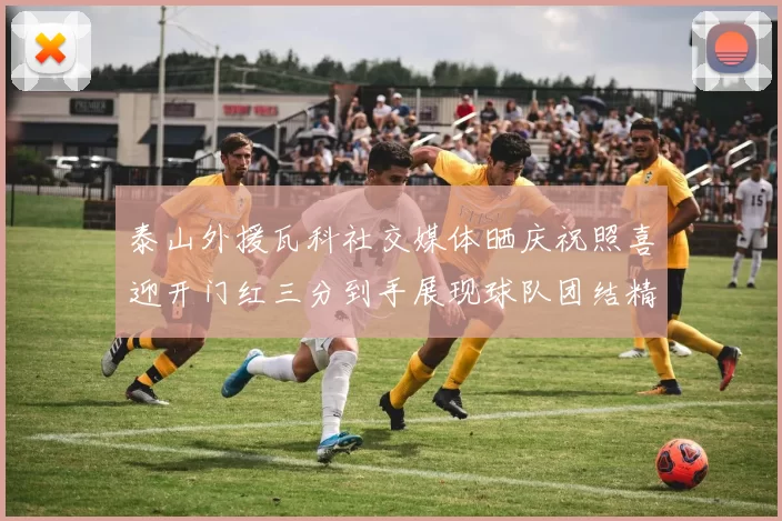泰山外援瓦科社交媒体晒庆祝照喜迎开门红三分到手展现球队团结精神